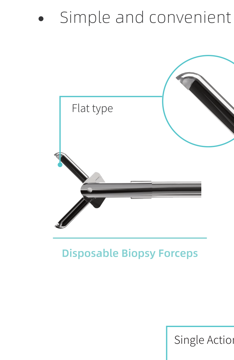 Disposable biopsy forceps with flat-type jaws